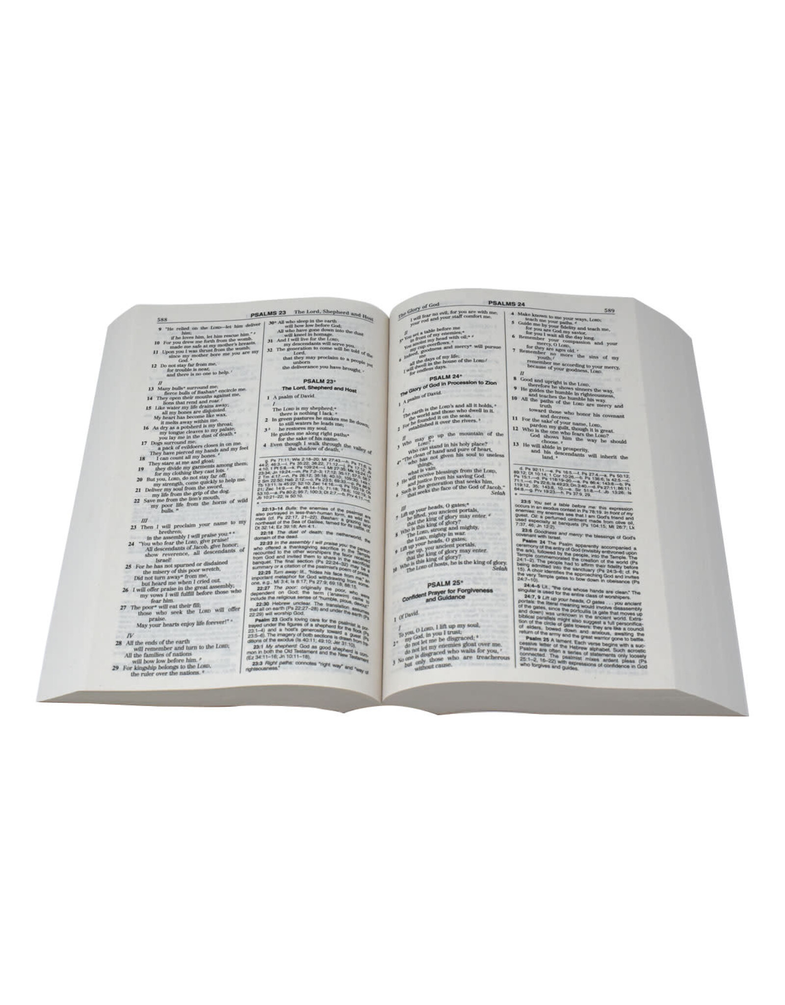 Catholic Book Publishing NABRE Student Edition Bible