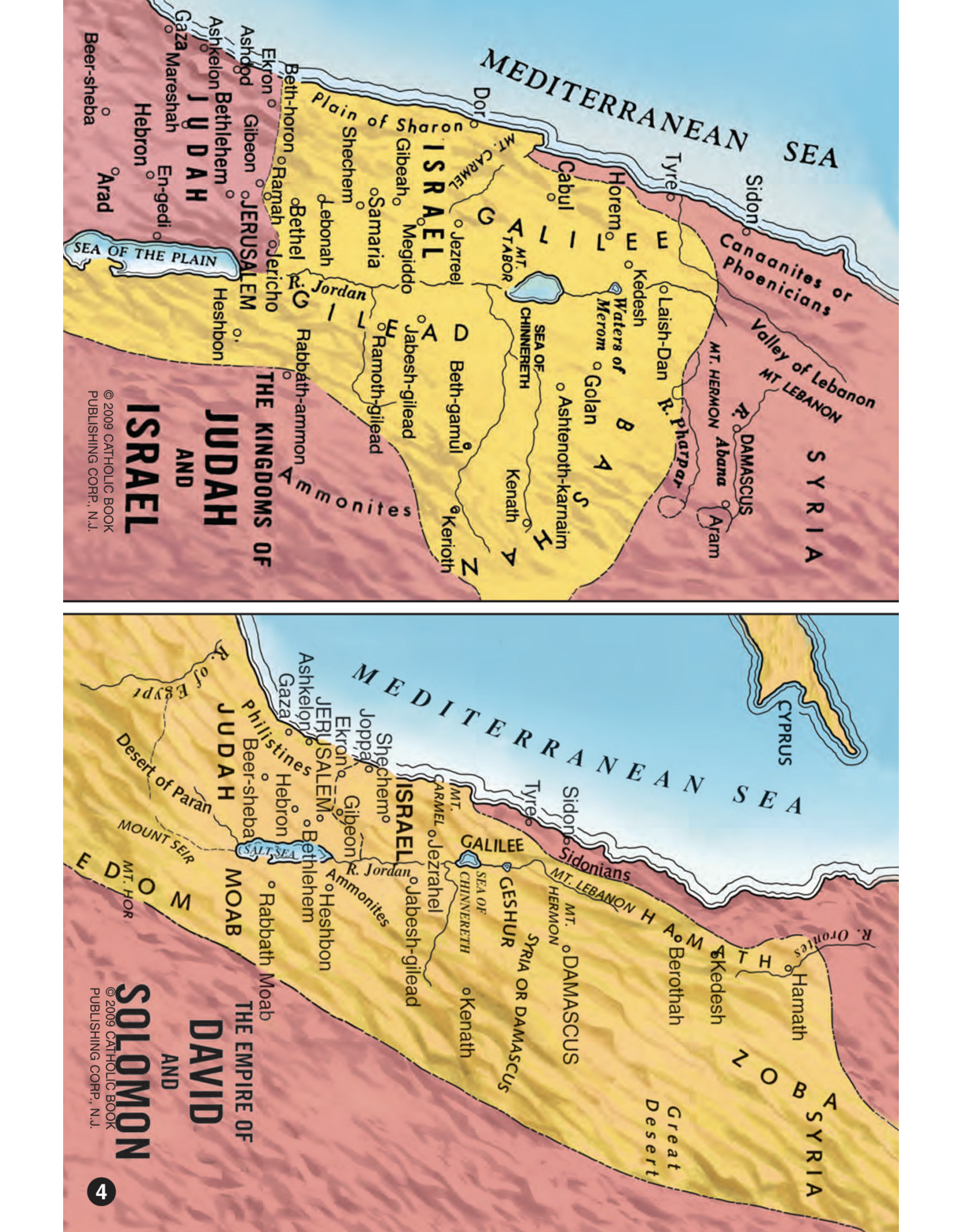 Catholic Book Publishing New Catholic Bible - Various Colors