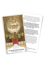 Full of Grace Apostolic Pardon for the Dying Card