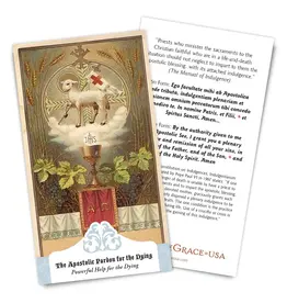 Full of Grace Apostolic Pardon for the Dying Card