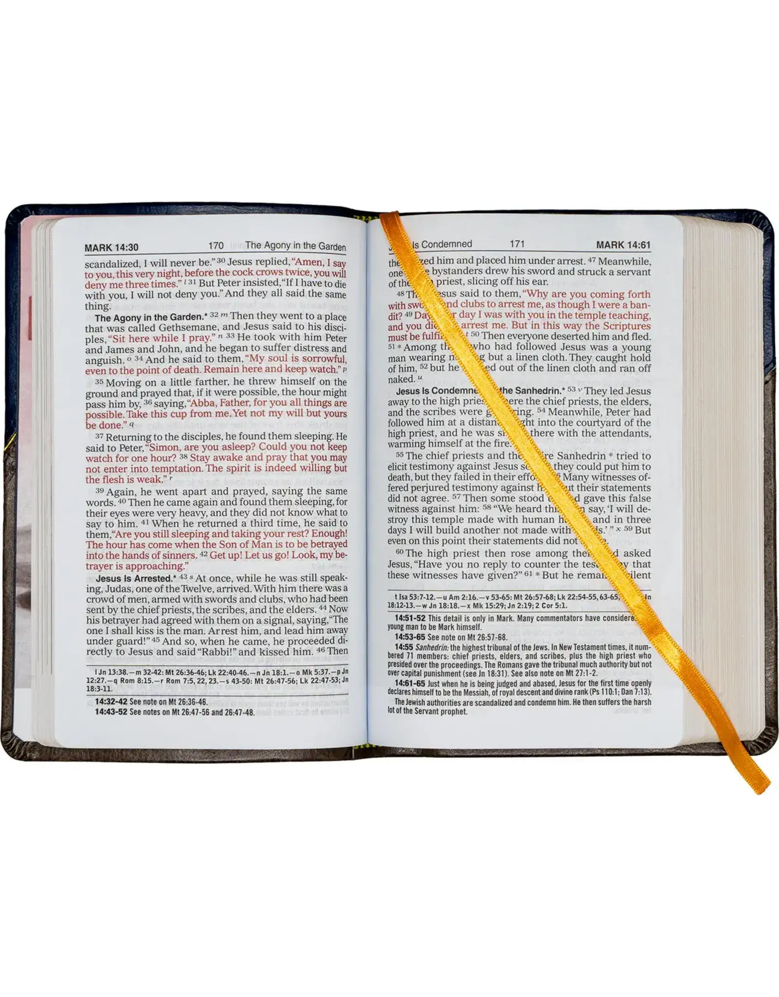 Catholic Book Publishing New Testament & Psalms NCB (New Catholic Bible)