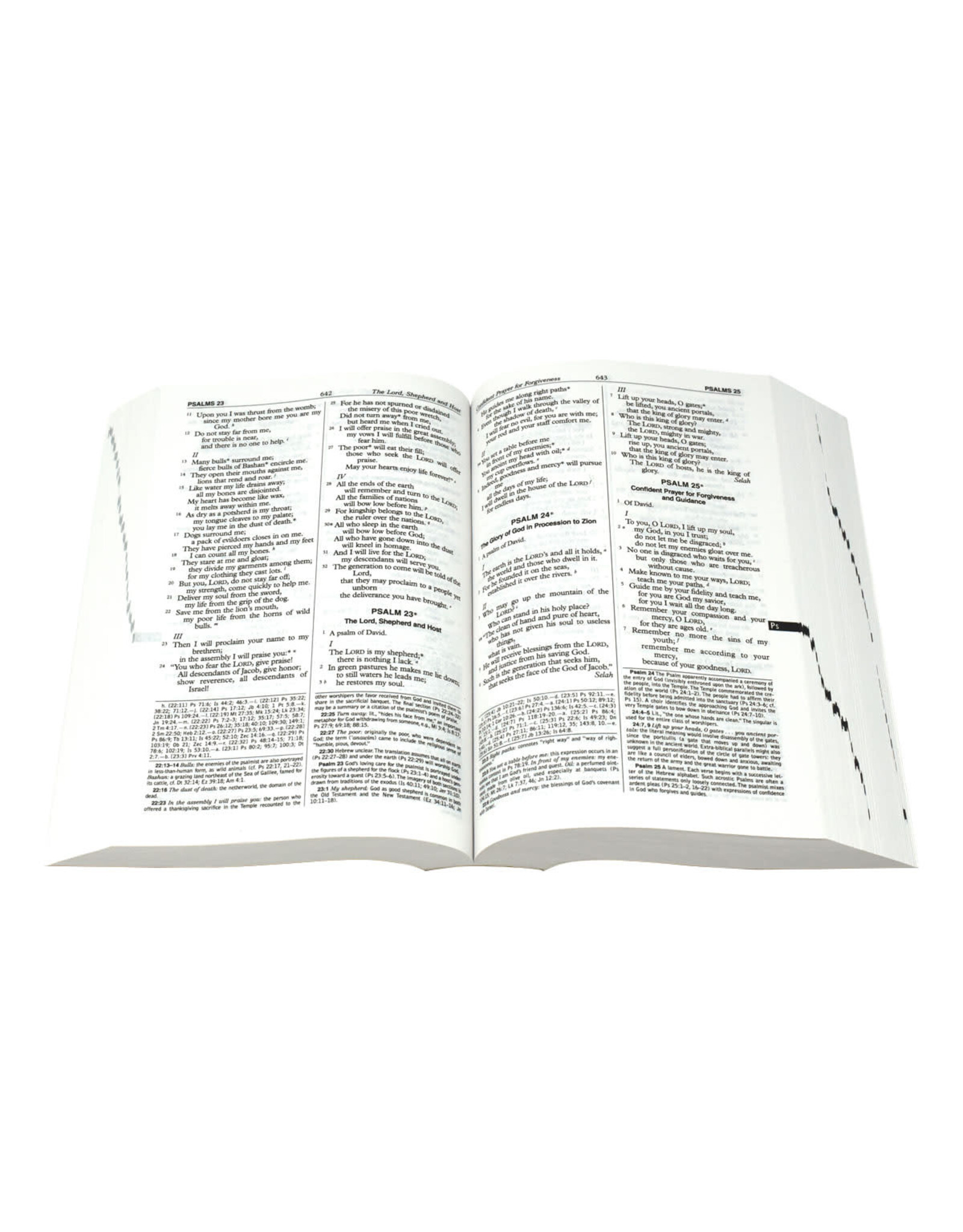 Catholic Book Publishing St. Joseph NABRE (Student Edition - Medium Size)