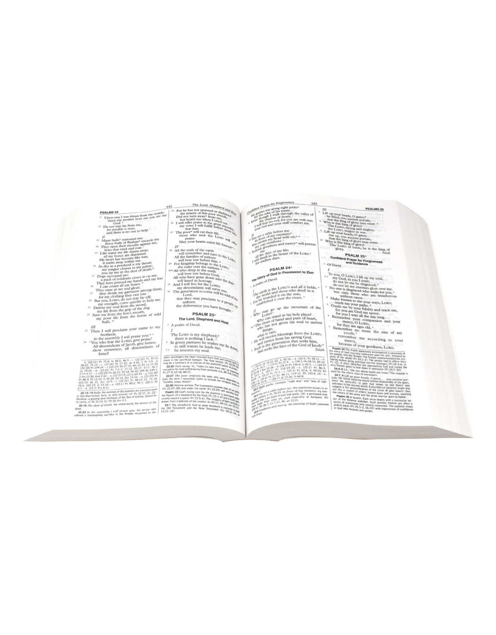 Catholic Book Publishing St. Joseph New American Bible, Revised Edition (Paperback-Full Size)