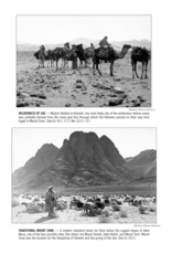 Catholic Book Publishing St. Joseph New American Bible, Revised Edition (Paperback-Full Size)