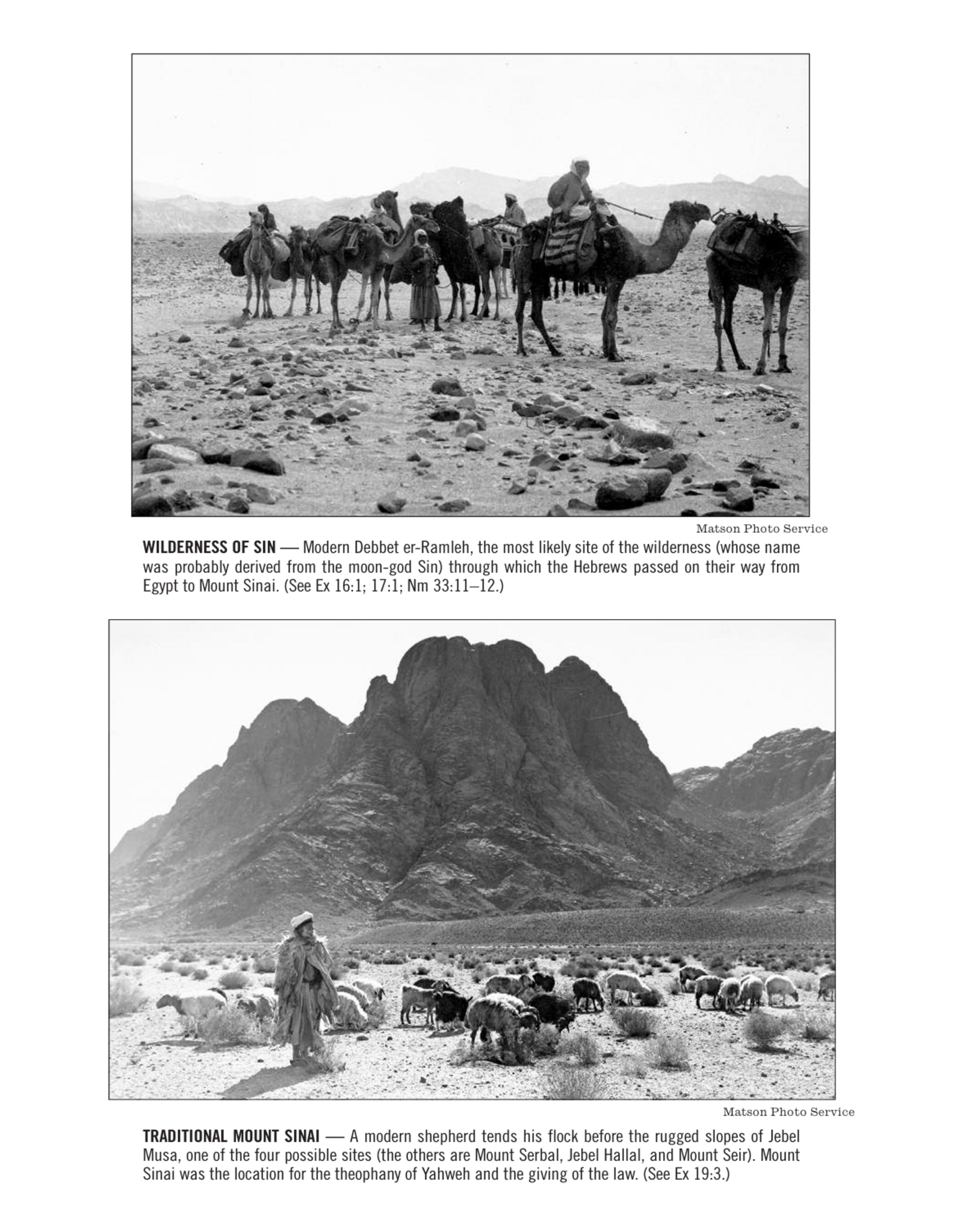 Catholic Book Publishing St. Joseph New American Bible, Revised Edition (Paperback-Full Size)