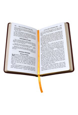 Catholic Book Publishing Treasury of Novenas