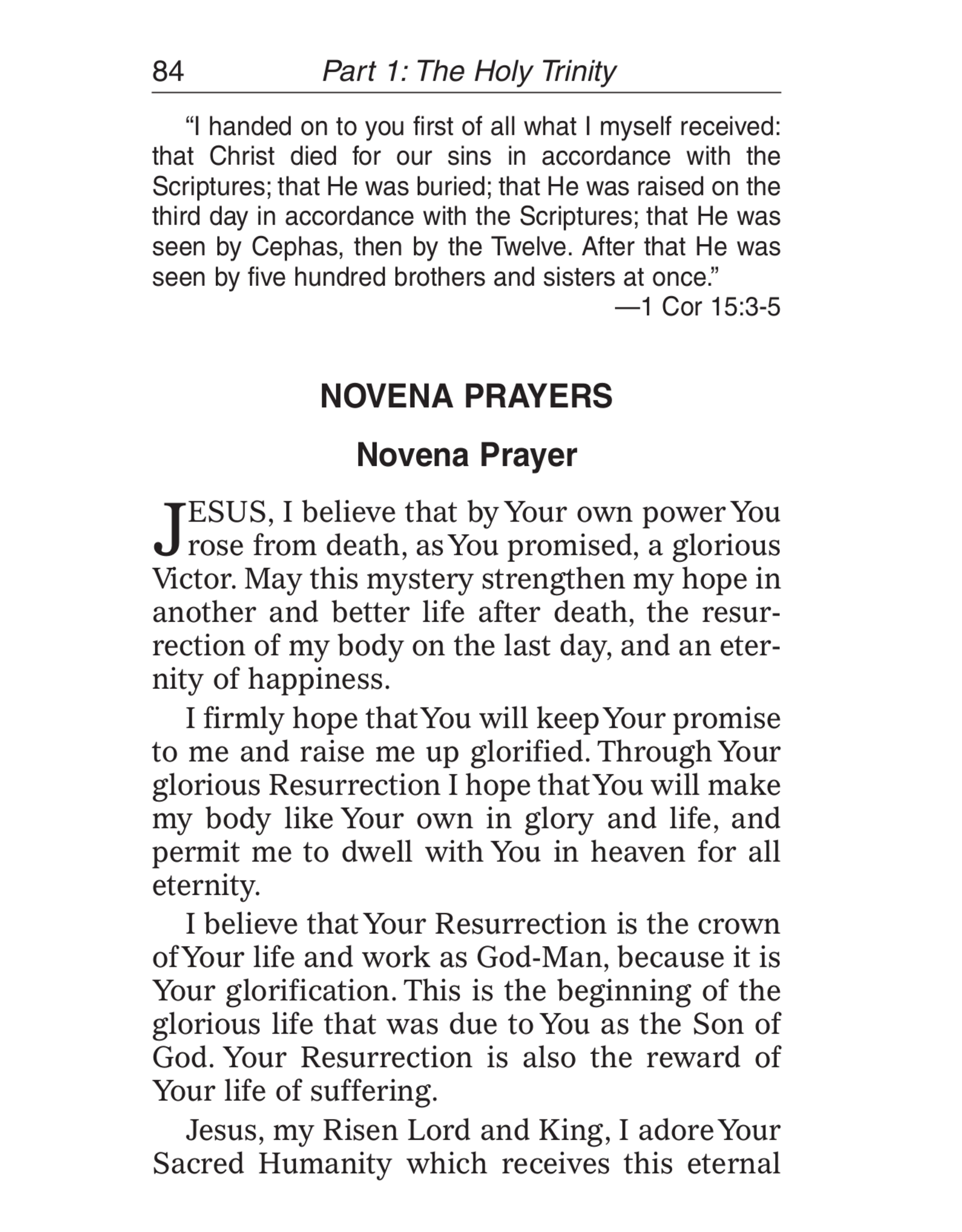 Catholic Book Publishing Treasury of Novenas