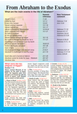Catholic Book Publishing NCB (New Catholic Bible), Large Type - White
