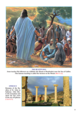 Catholic Book Publishing NCB (New Catholic Bible), Large Type - White