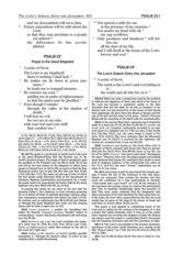 Catholic Book Publishing NCB (New Catholic Bible), Large Type - White