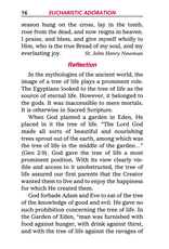Catholic Book Publishing Eucharistic Adoration: Scriptural Reflections & Prayers
