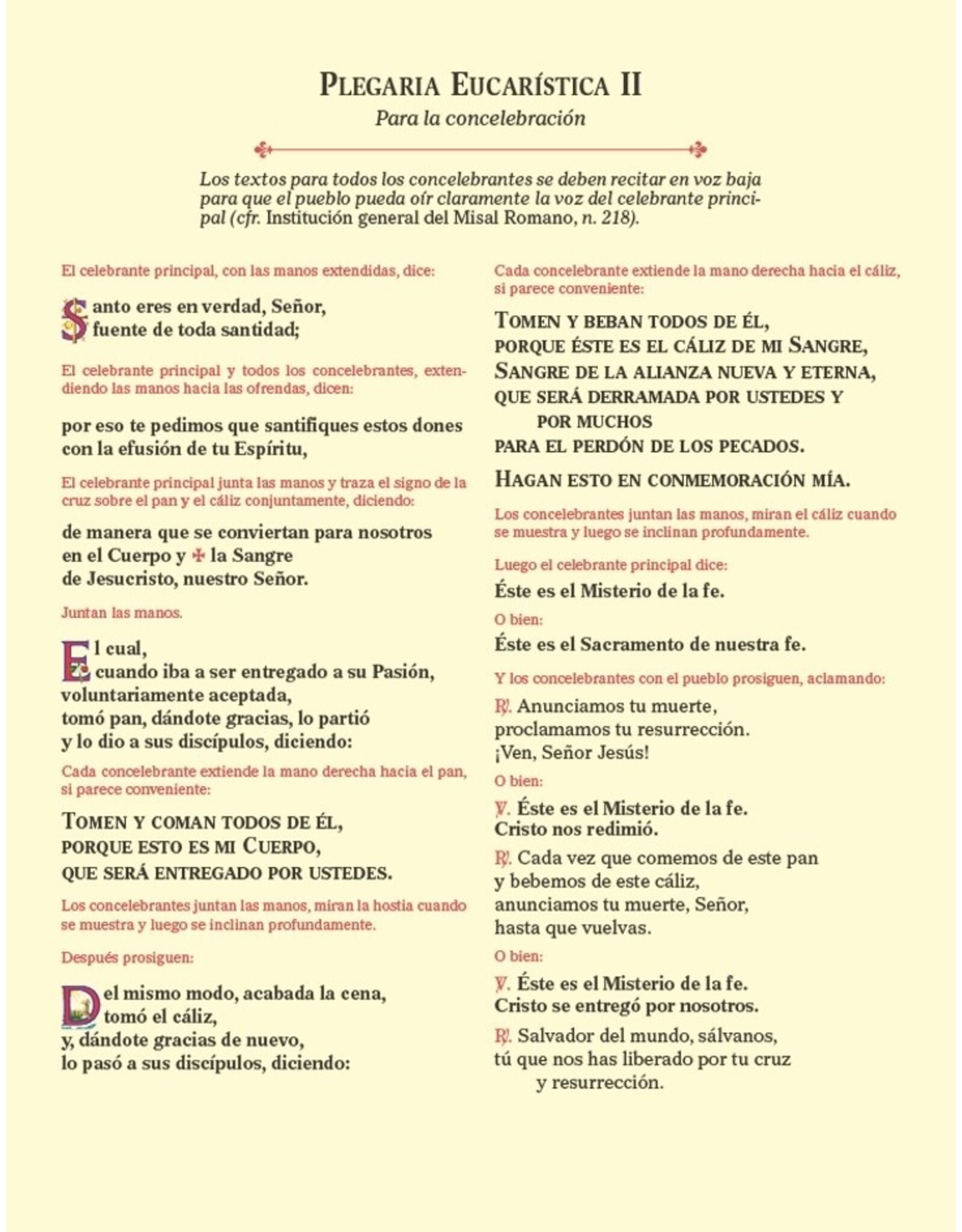 Catholic Book Publishing Eucharistic Prayer Cards (Spanish)