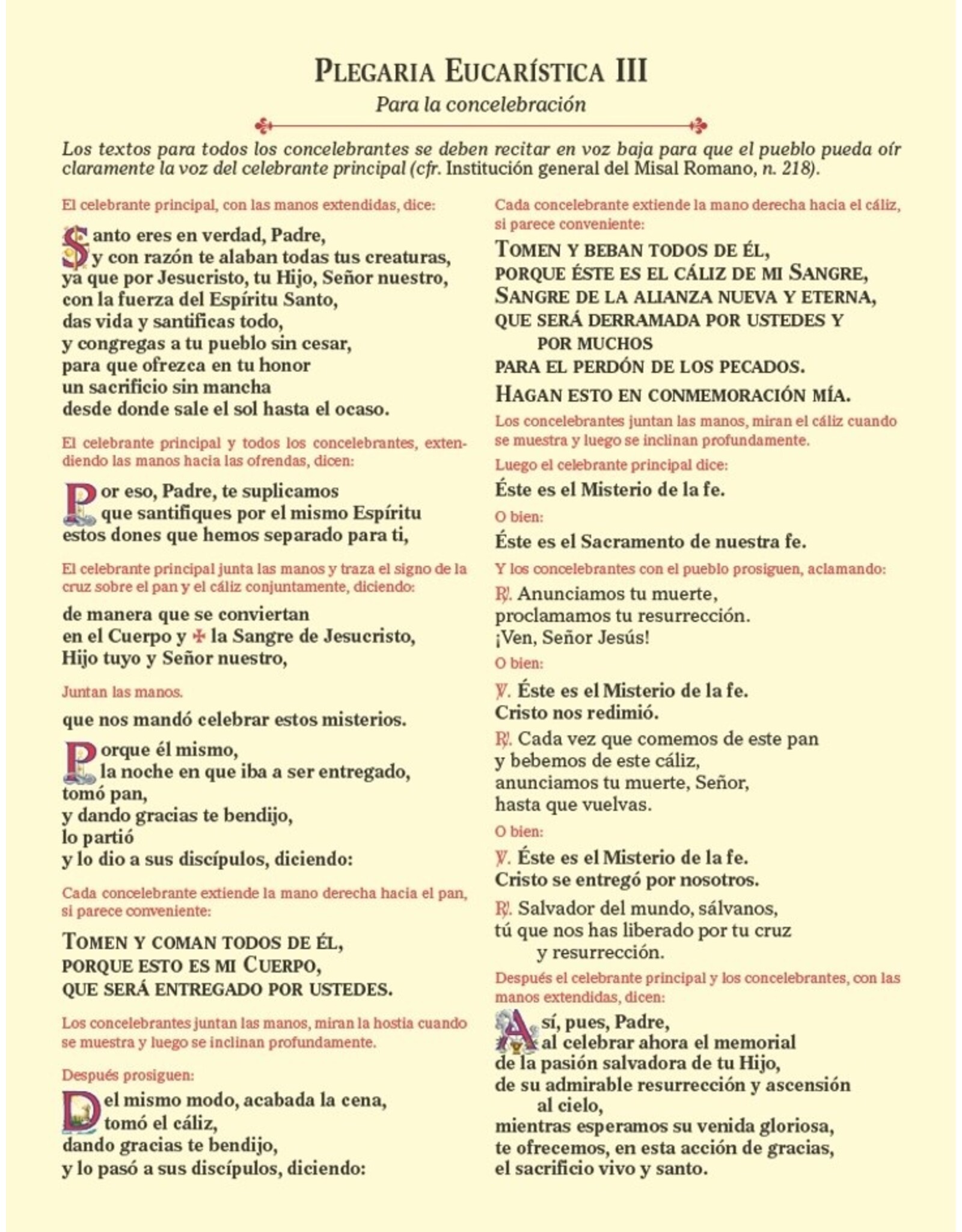 Catholic Book Publishing Eucharistic Prayer Cards (Spanish)