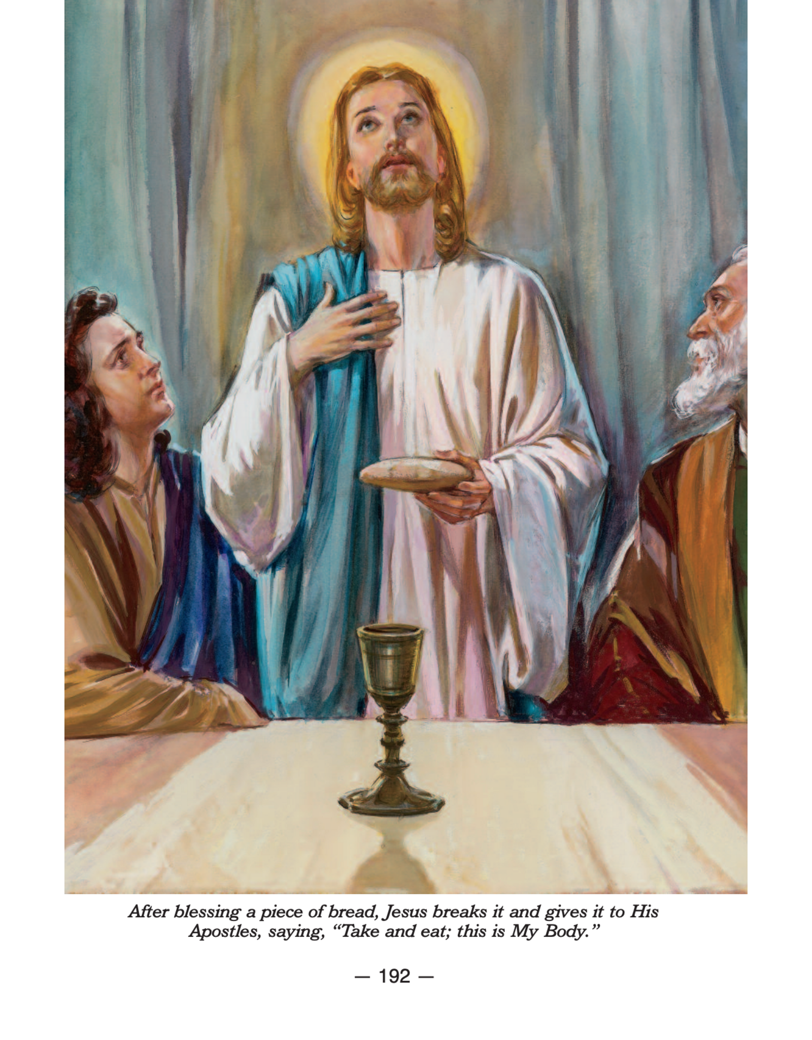 Catholic Book Publishing New Catholic Picture Bible (Children)