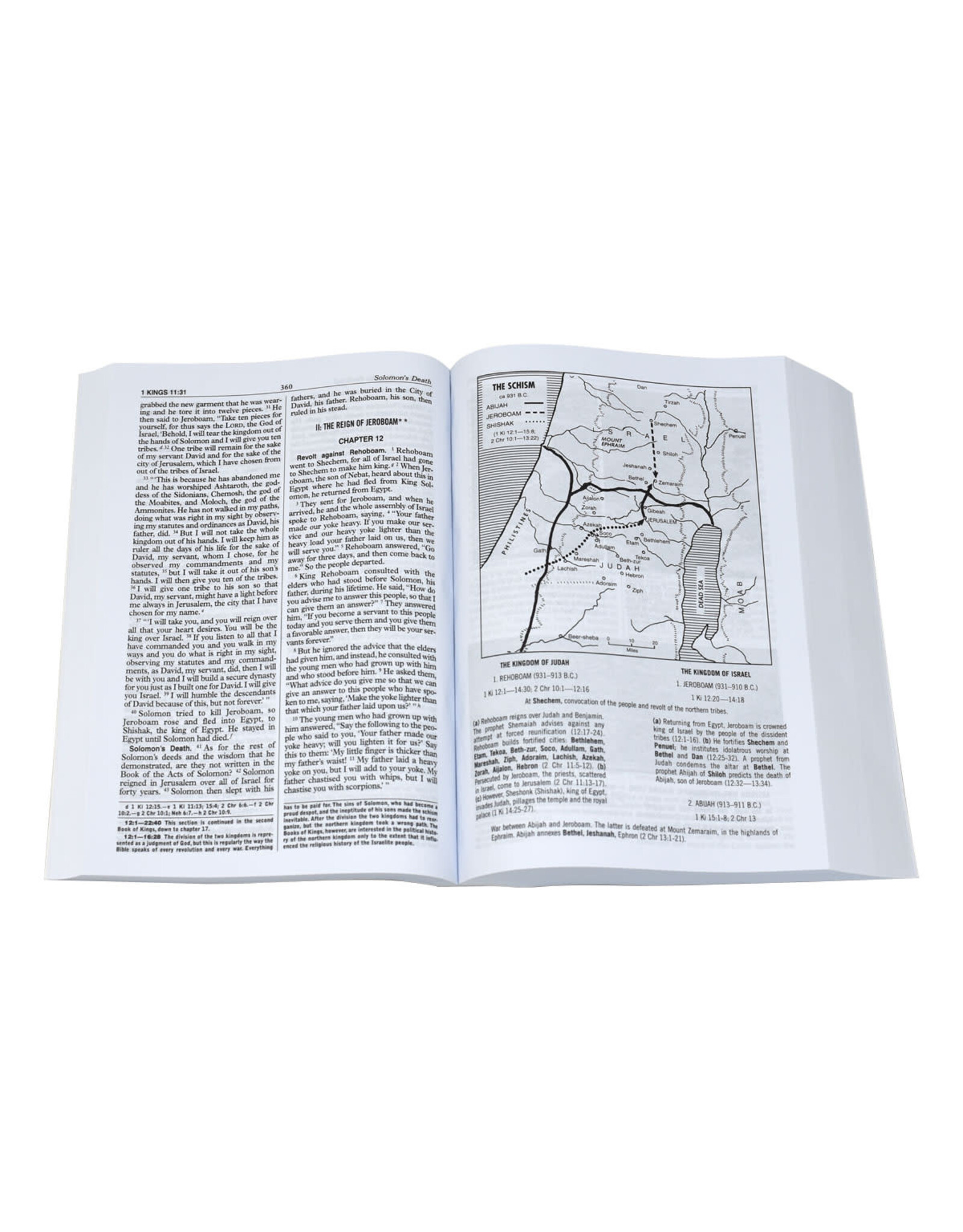 Catholic Book Publishing NCB (New Catholic Bible), Large Type - Brown Flex