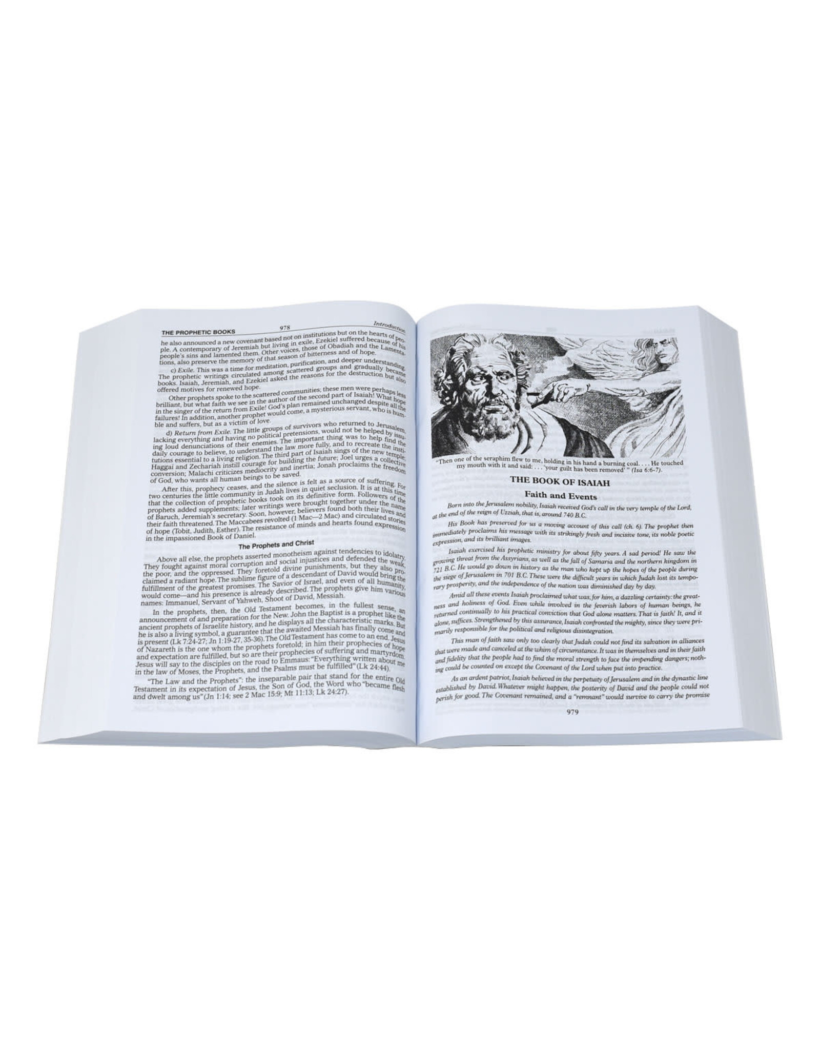 Catholic Book Publishing NCB (New Catholic Bible), Large Type - Brown Flex