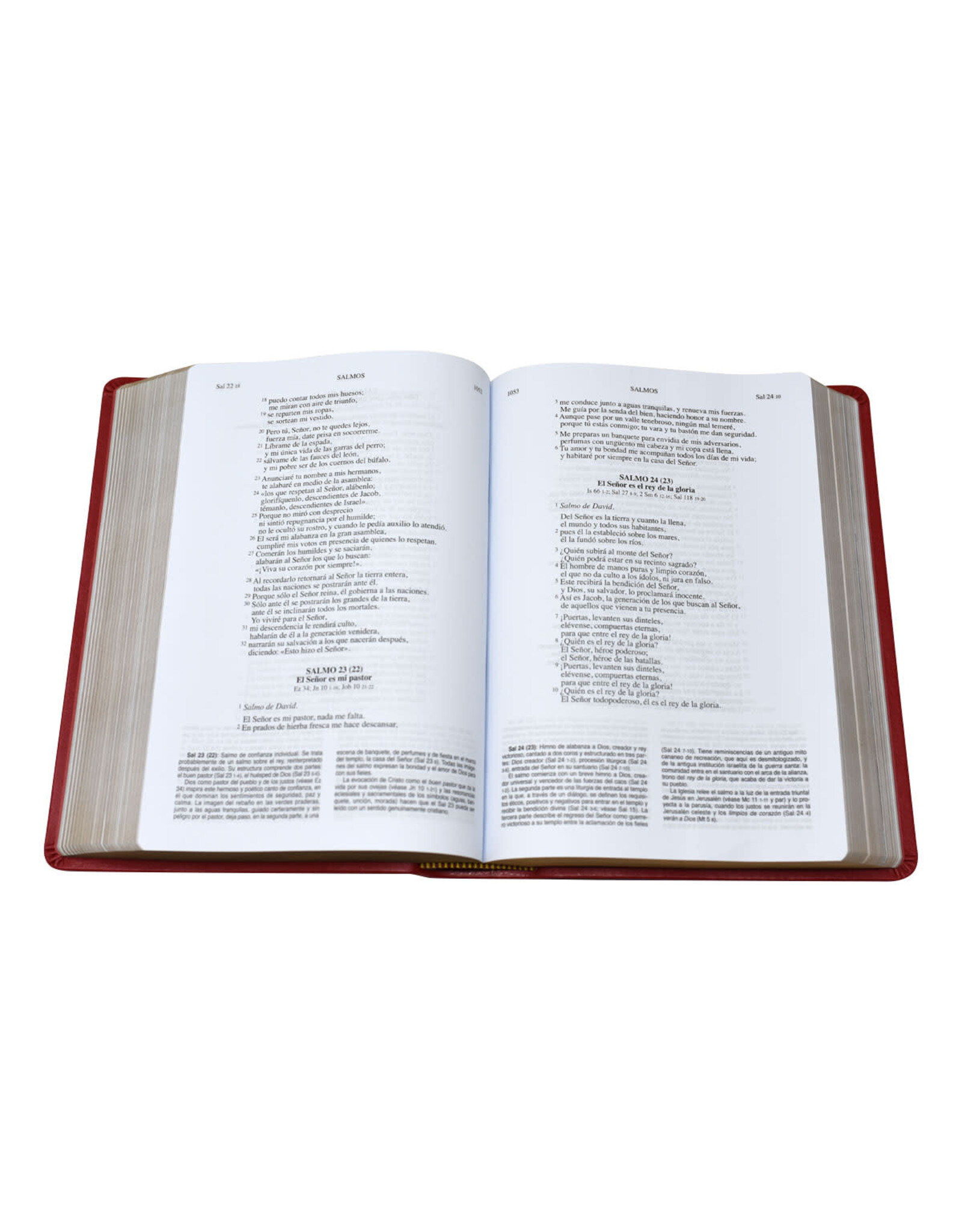 Catholic Book Publishing Biblia de America - Blue or Burgundy