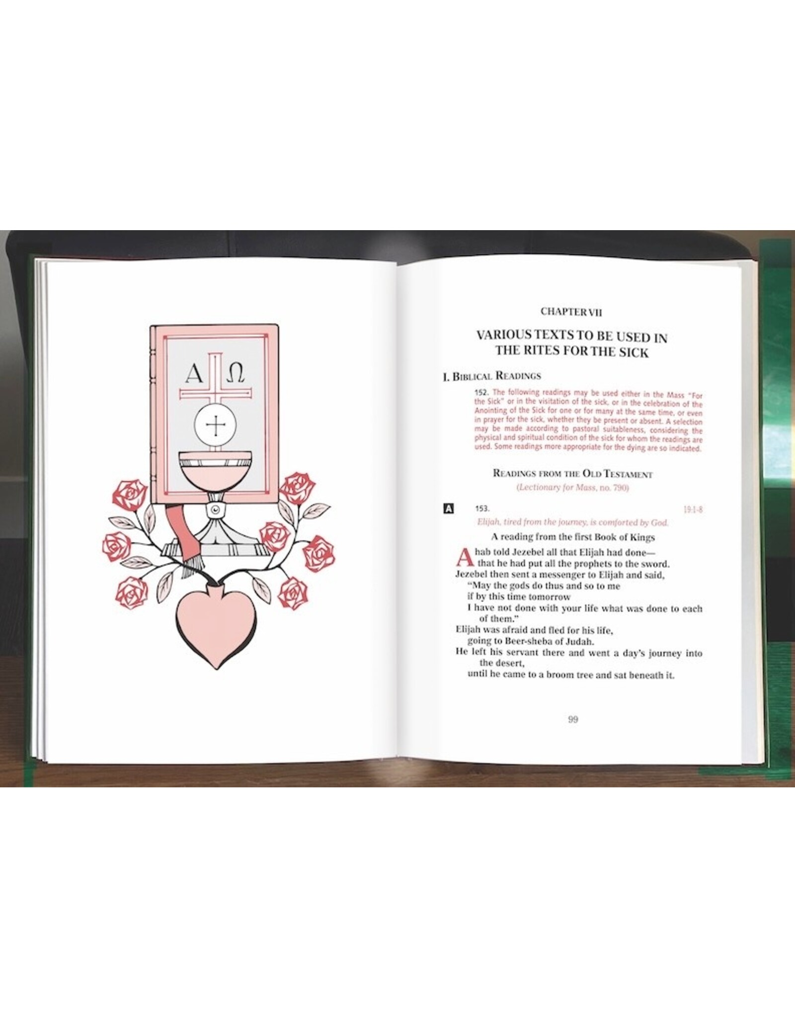 Catholic Book Publishing Order of the Anointing of the Sick & of their Pastoral Care (Ritual Edition)