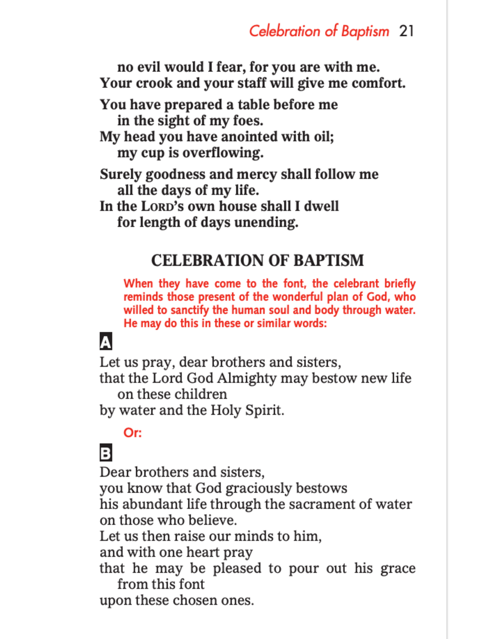 Catholic Book Publishing Order of Baptism of Children (Participation Booklet)