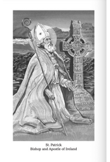 Catholic Book Publishing St. Patrick: His Confession And Other Works