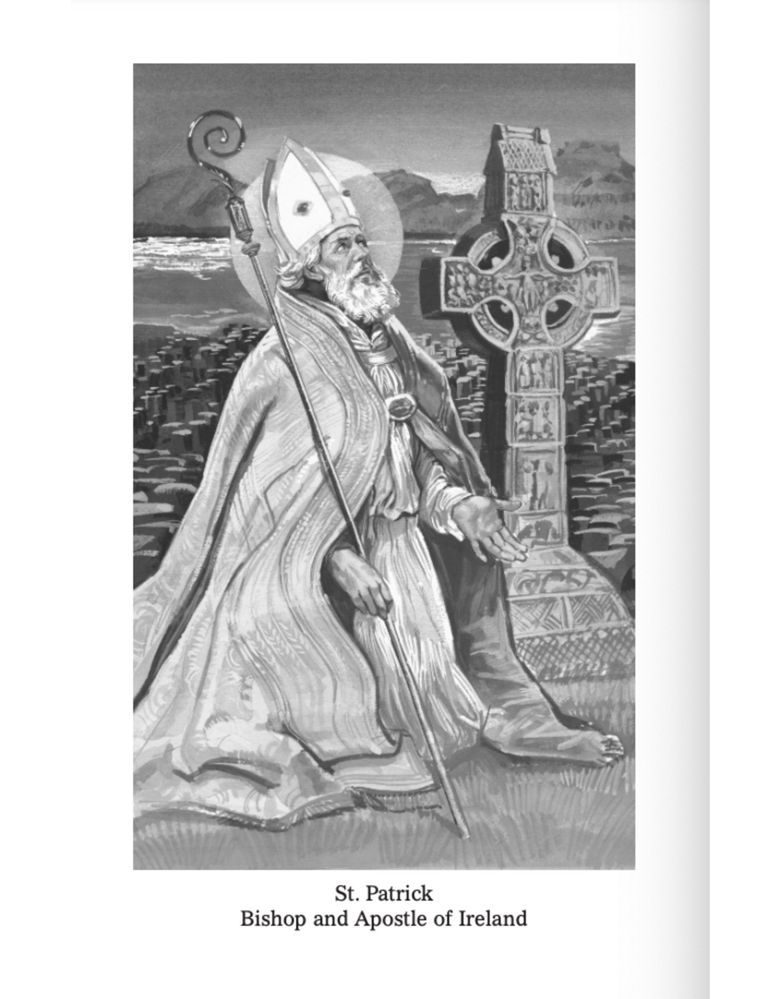 Catholic Book Publishing St. Patrick: His Confession And Other Works
