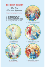 Catholic Book Publishing St. Joseph New Catholic Bible (Personal Size) - Brown, Burgundy, or White