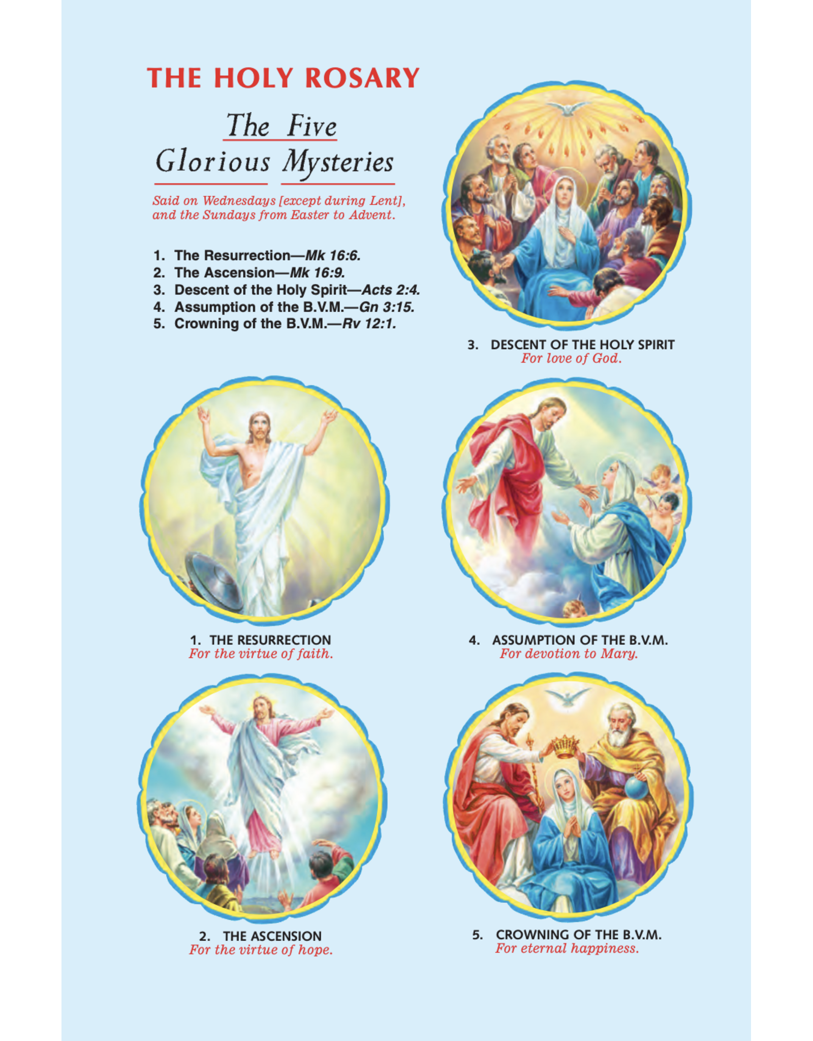 Catholic Book Publishing St. Joseph New Catholic Bible (Personal Size) - Brown, Burgundy, or White