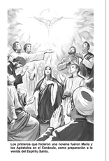 Catholic Book Publishing Tesoro de Novenas