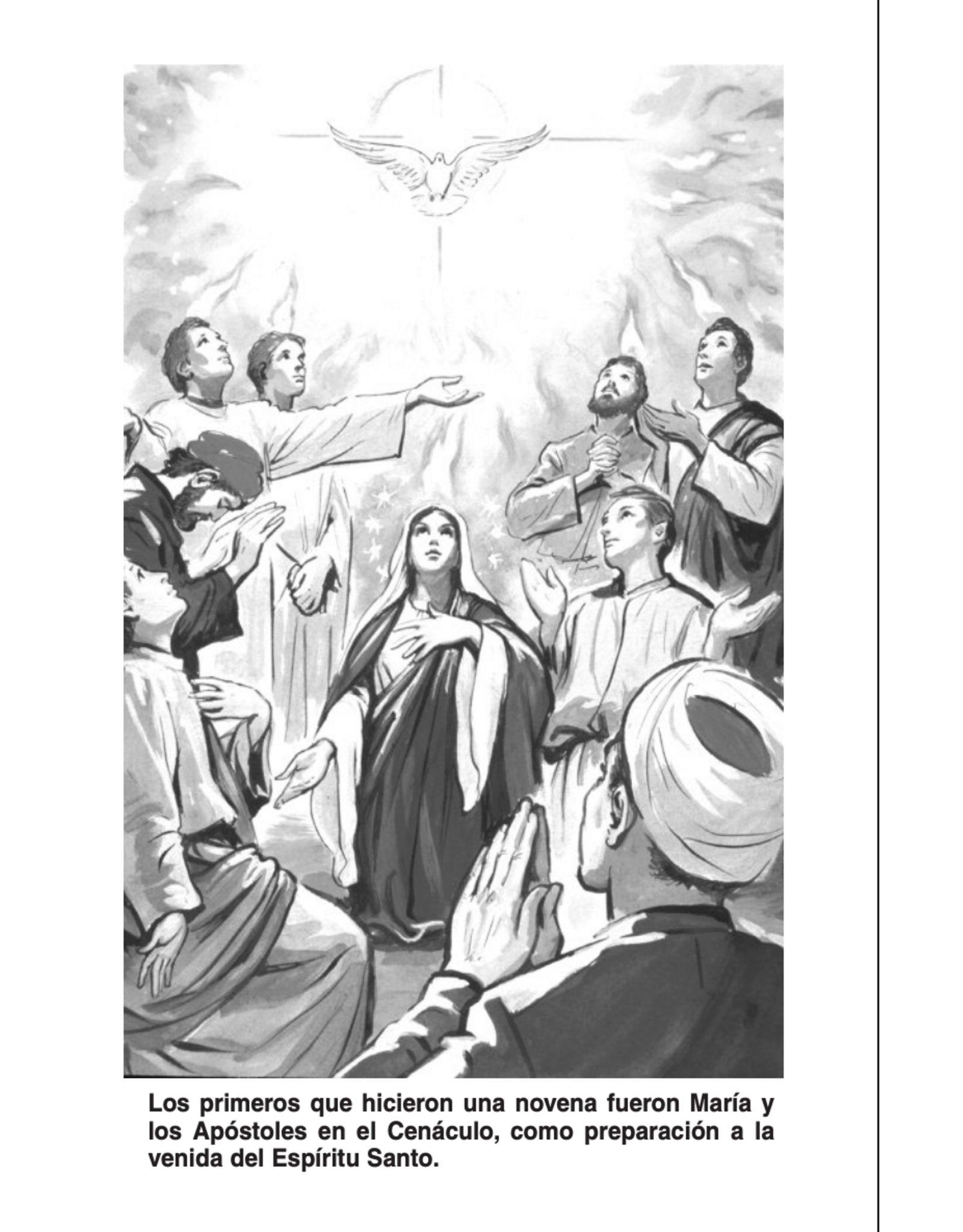 Catholic Book Publishing Tesoro de Novenas