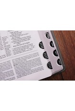 Zondervan NIV Application Bible, Leathersoft, Pink/Gray, Red Letter, Thumb Indexed, Comfort Print