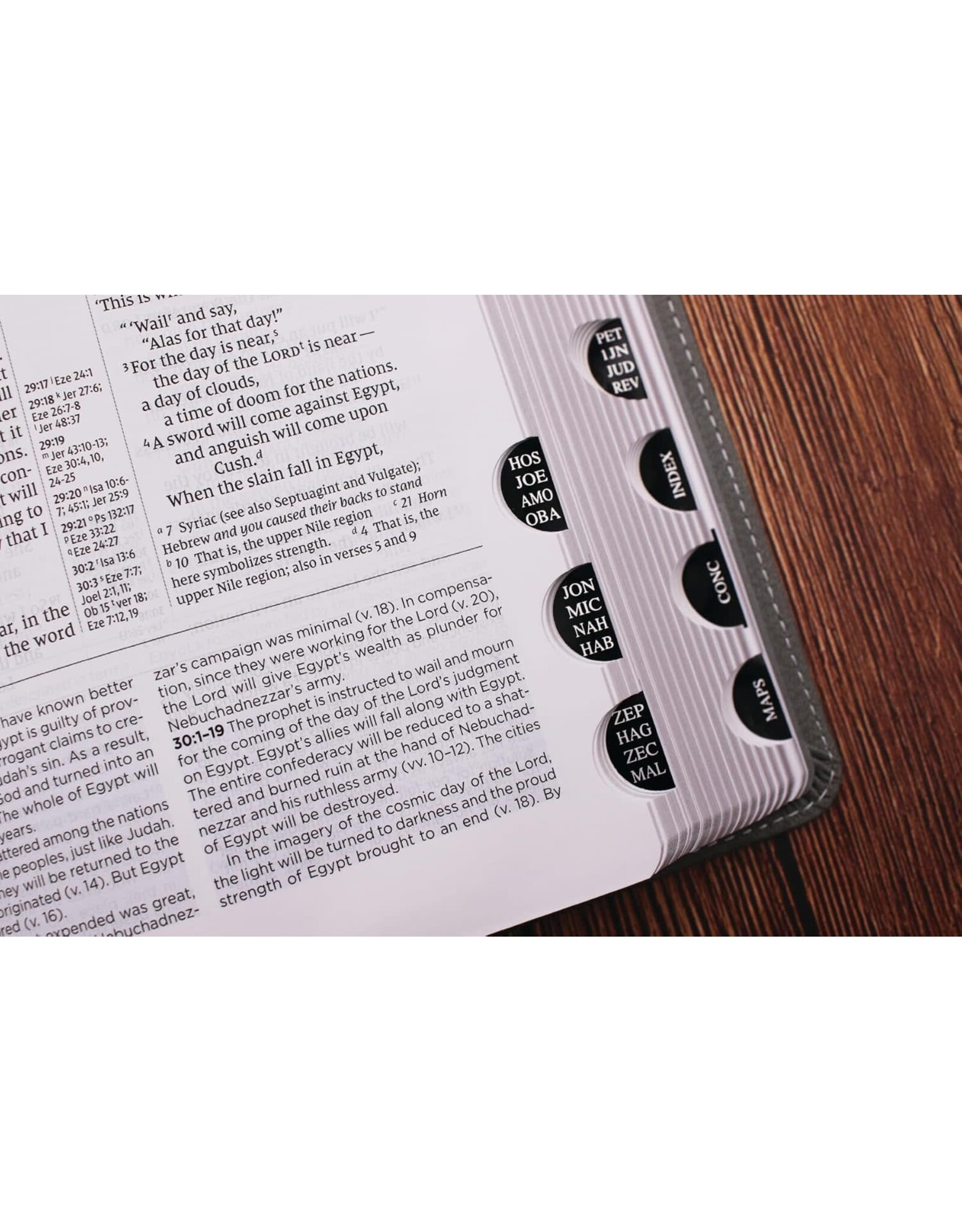 Zondervan NIV Application Bible, Leathersoft, Pink/Gray, Red Letter, Thumb Indexed, Comfort Print