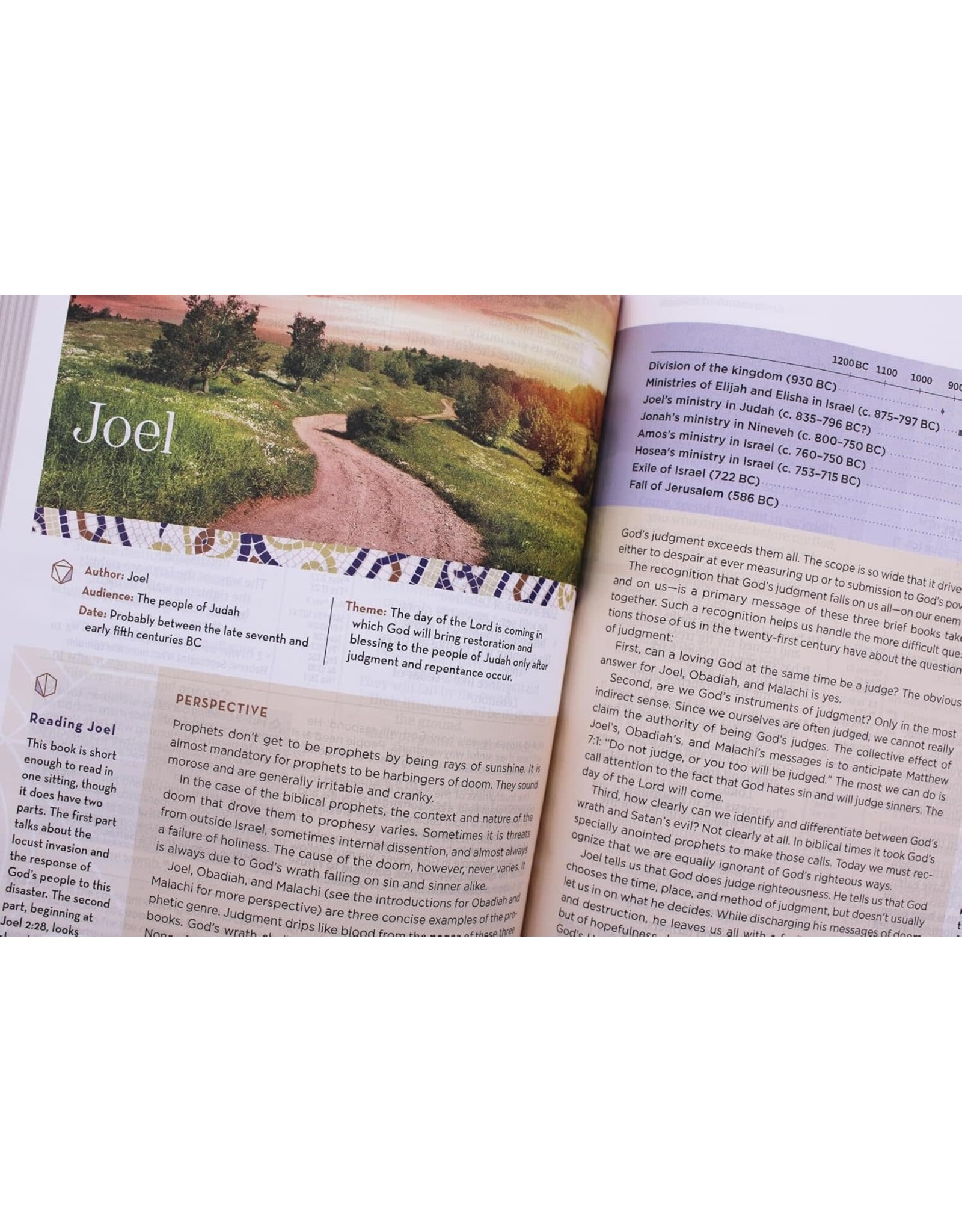 Zondervan NIV Application Bible, Leathersoft, Pink/Gray, Red Letter, Thumb Indexed, Comfort Print