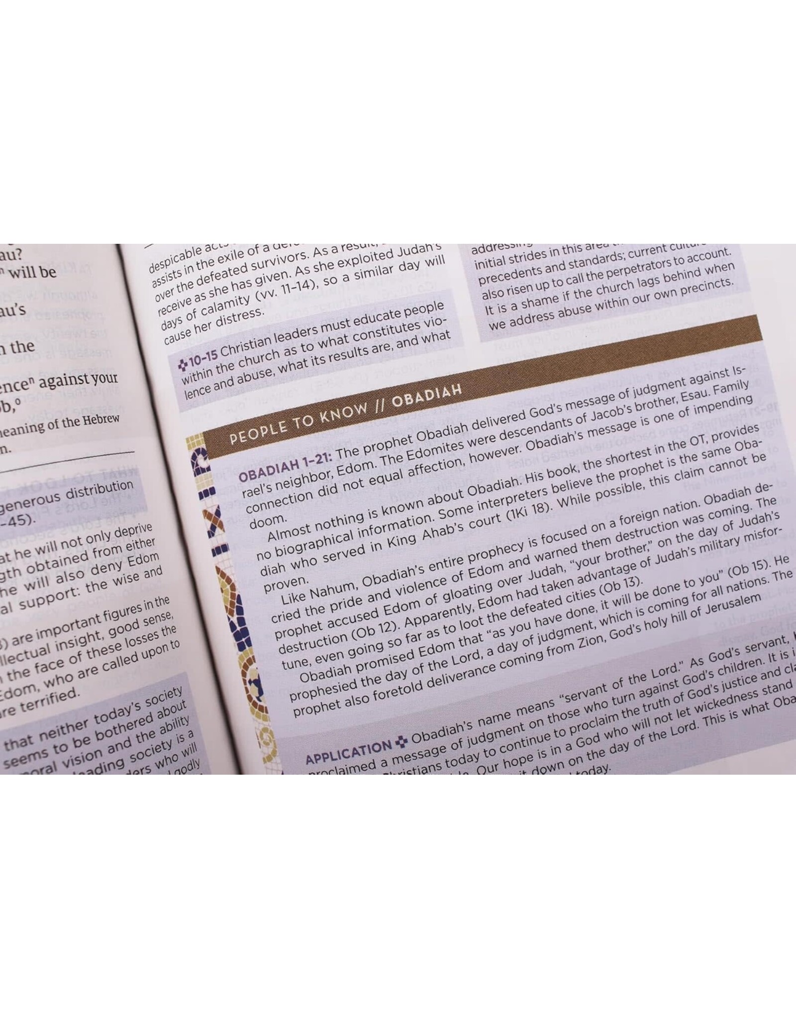 Zondervan NIV Application Bible, Leathersoft, Pink/Gray, Red Letter, Thumb Indexed, Comfort Print