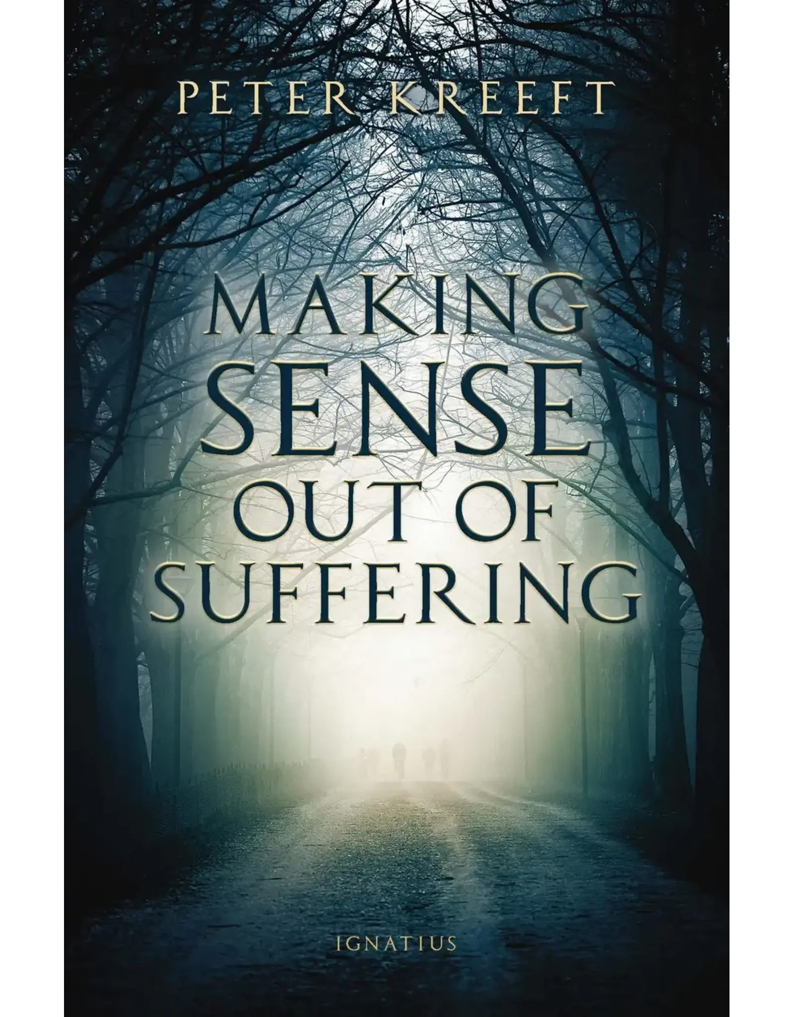 Ignatius Press Making Sense out of Suffering