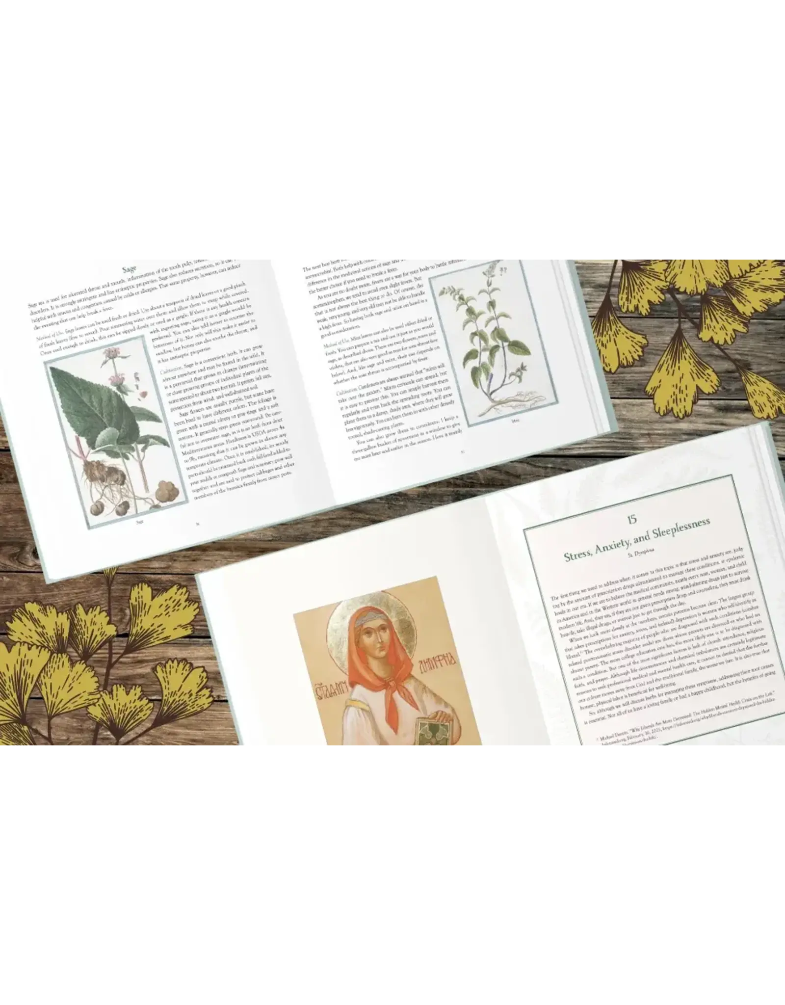Sophia Institue Press Herbs that Heal (Catholic) Home Remedies to Forage and Grow