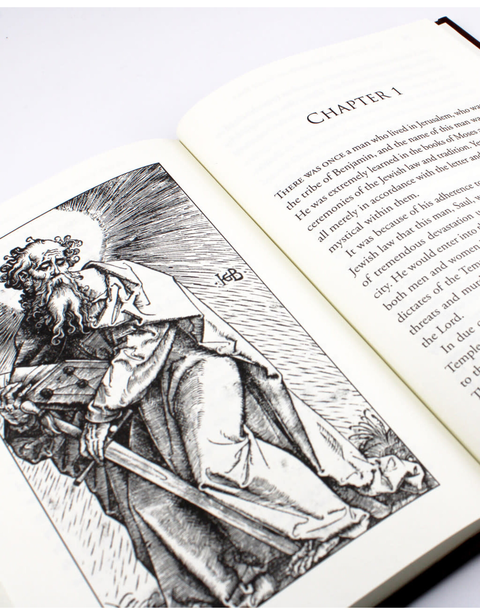Tan Books (St. Benedict Press) Life & Martyrdom of St. Peter & St. Paul