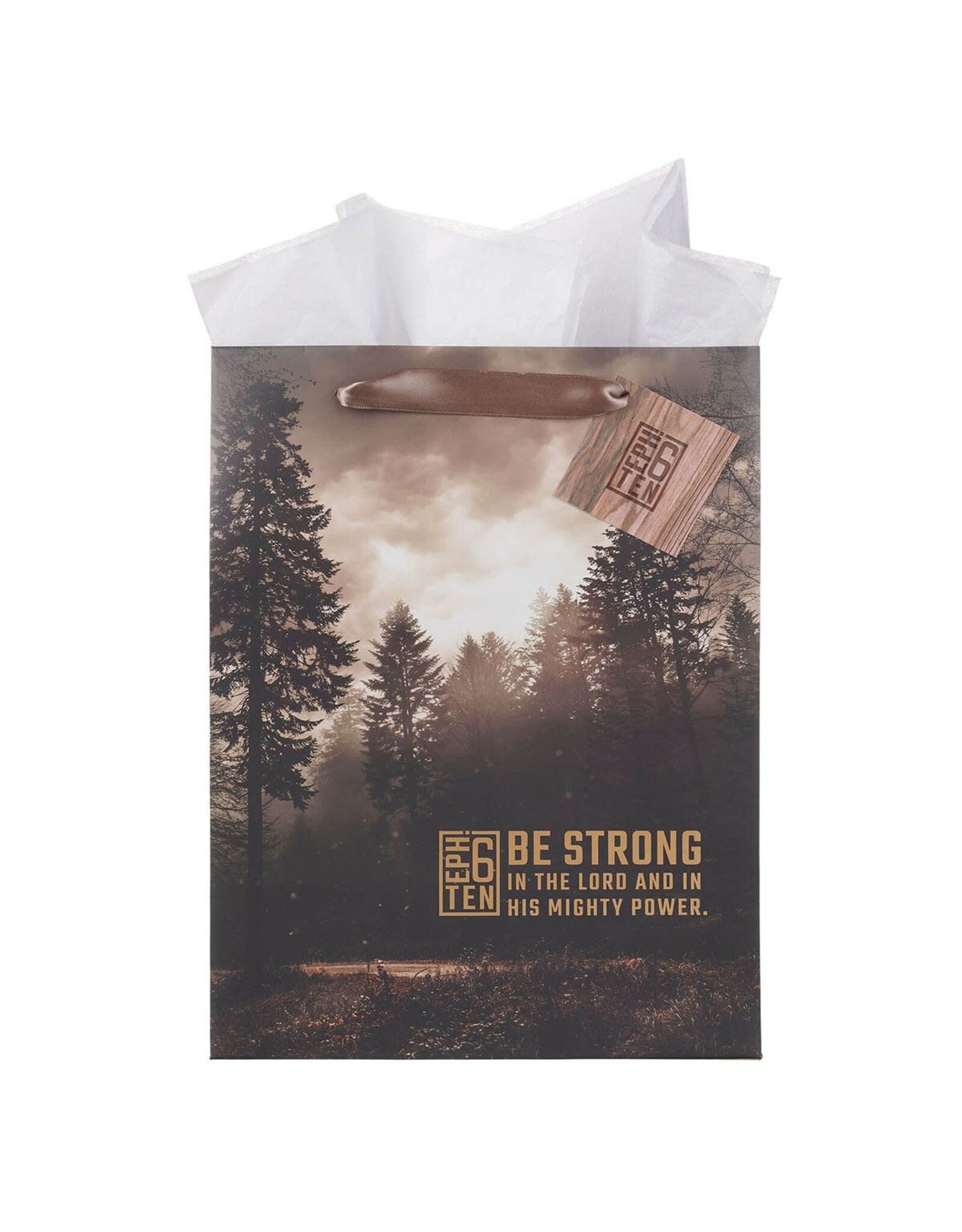 Christian Art Gifts Gift Bag - Be Strong in the Lord Woodland Portrait (Medium)