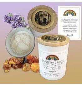 Abbey & CA Gift Candle - Rainbow Bridge Pet Memorial Amber & Lavender, 7 oz.