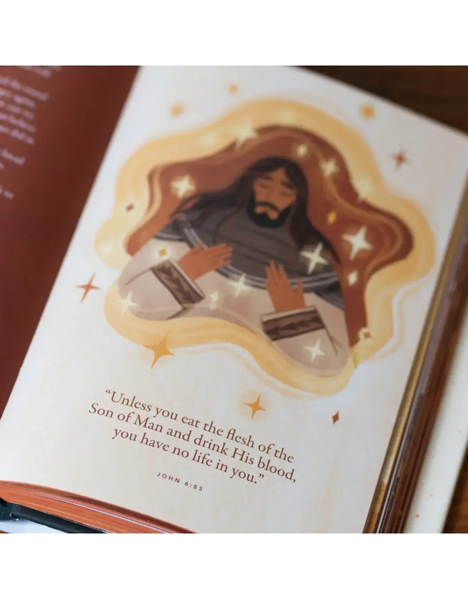 Word on Fire Story of All Stories: Story Bible for Young Catholics