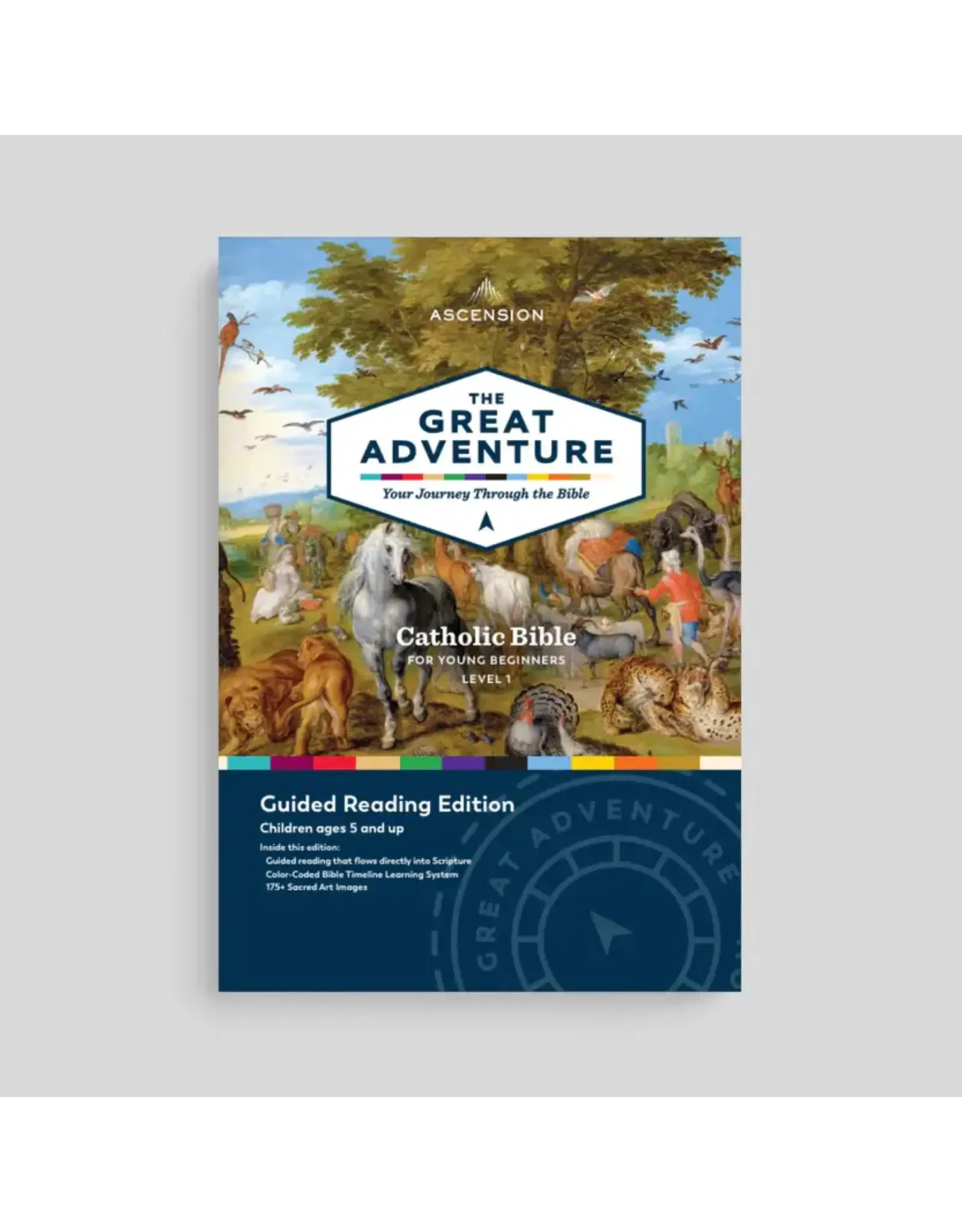 Ascension Press Great Adventure Catholic Bible for Young Beginners