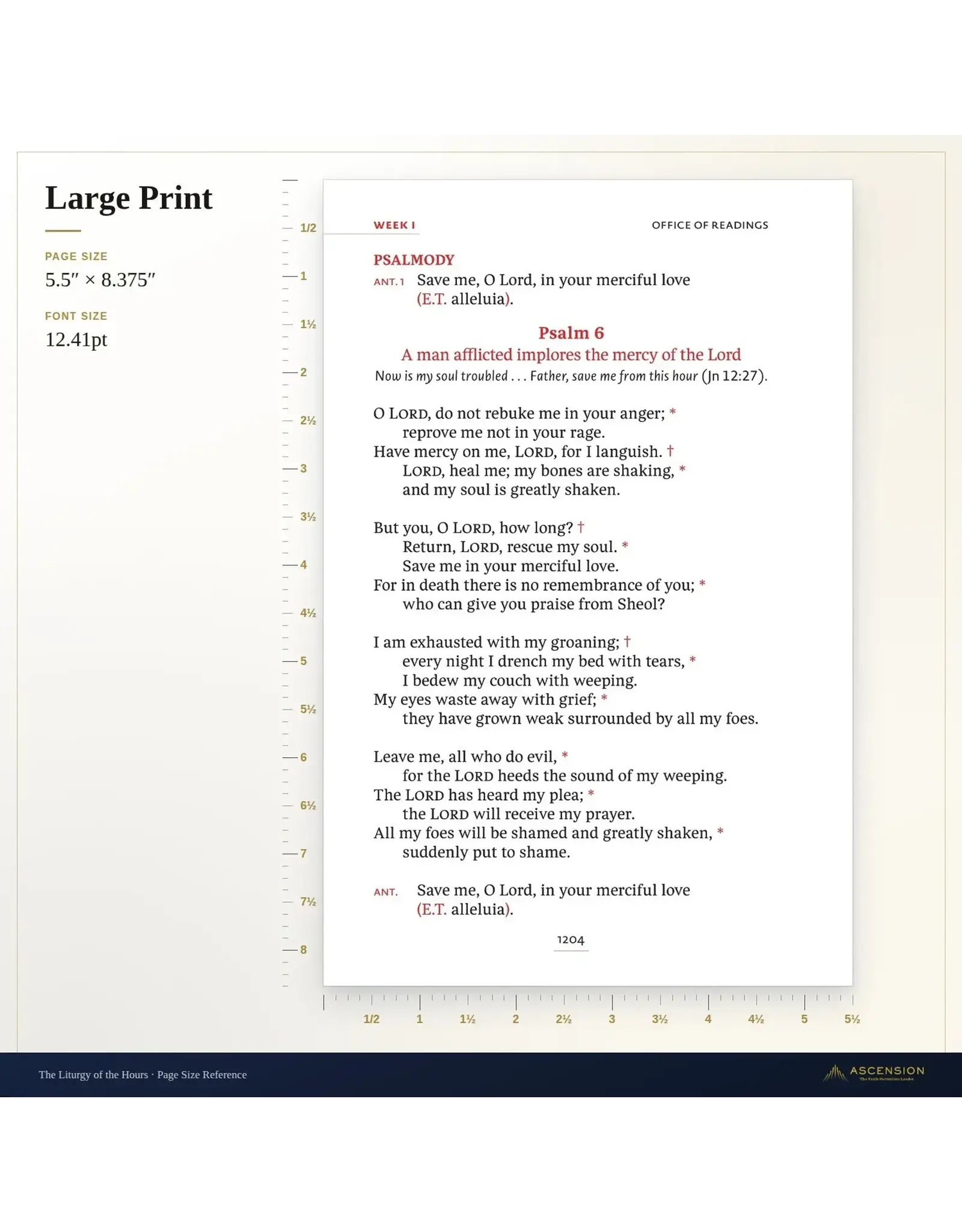 Ascension Press The Liturgy of the Hours, Second Edition Large Print - Volume III (AP)