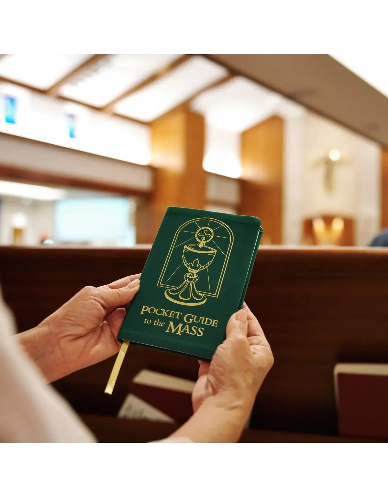 Ascension Press Pocket Guide to the Mass