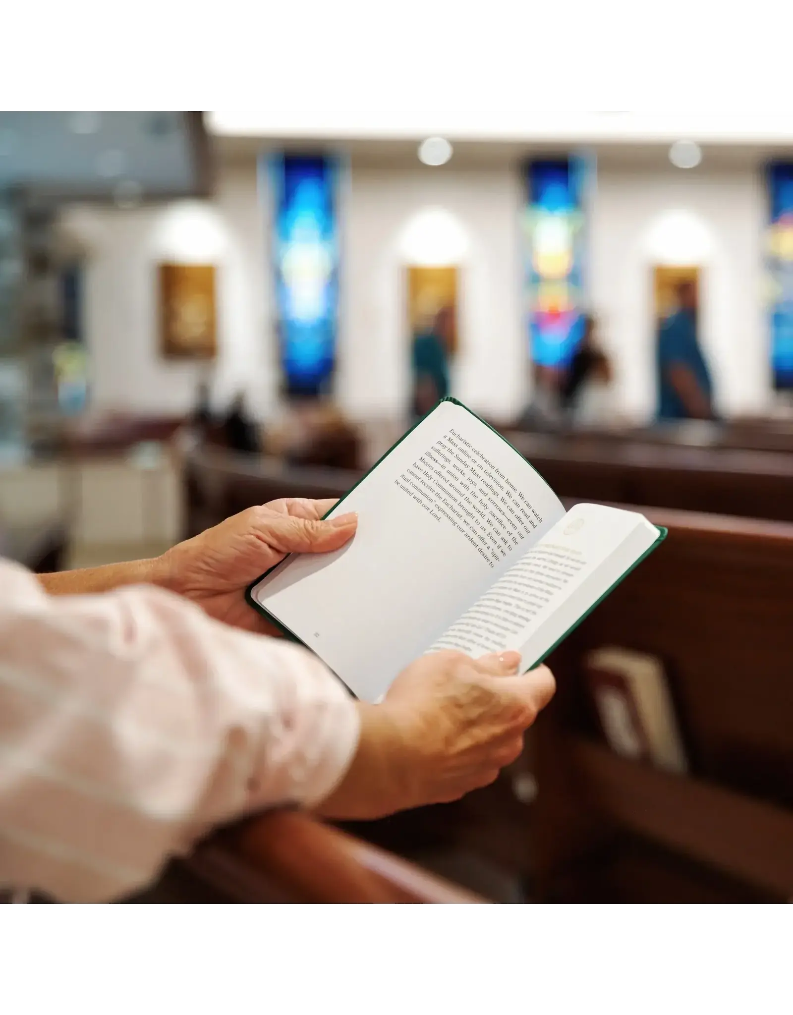 Ascension Press Pocket Guide to the Mass