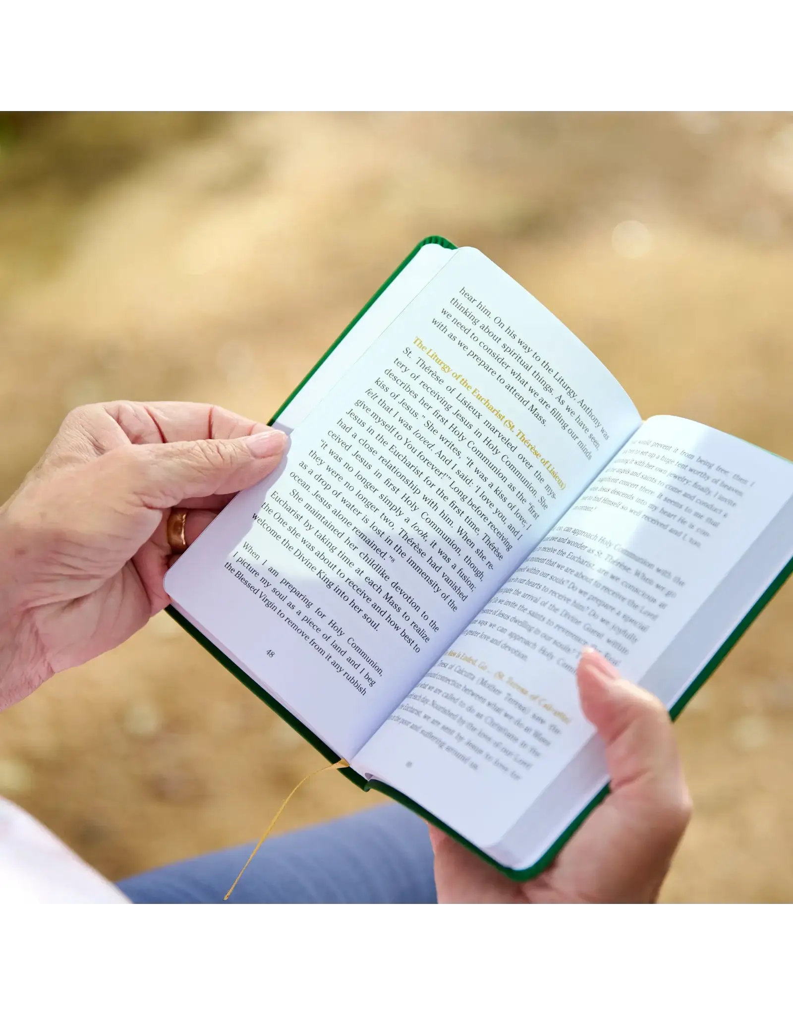 Ascension Press Pocket Guide to the Mass