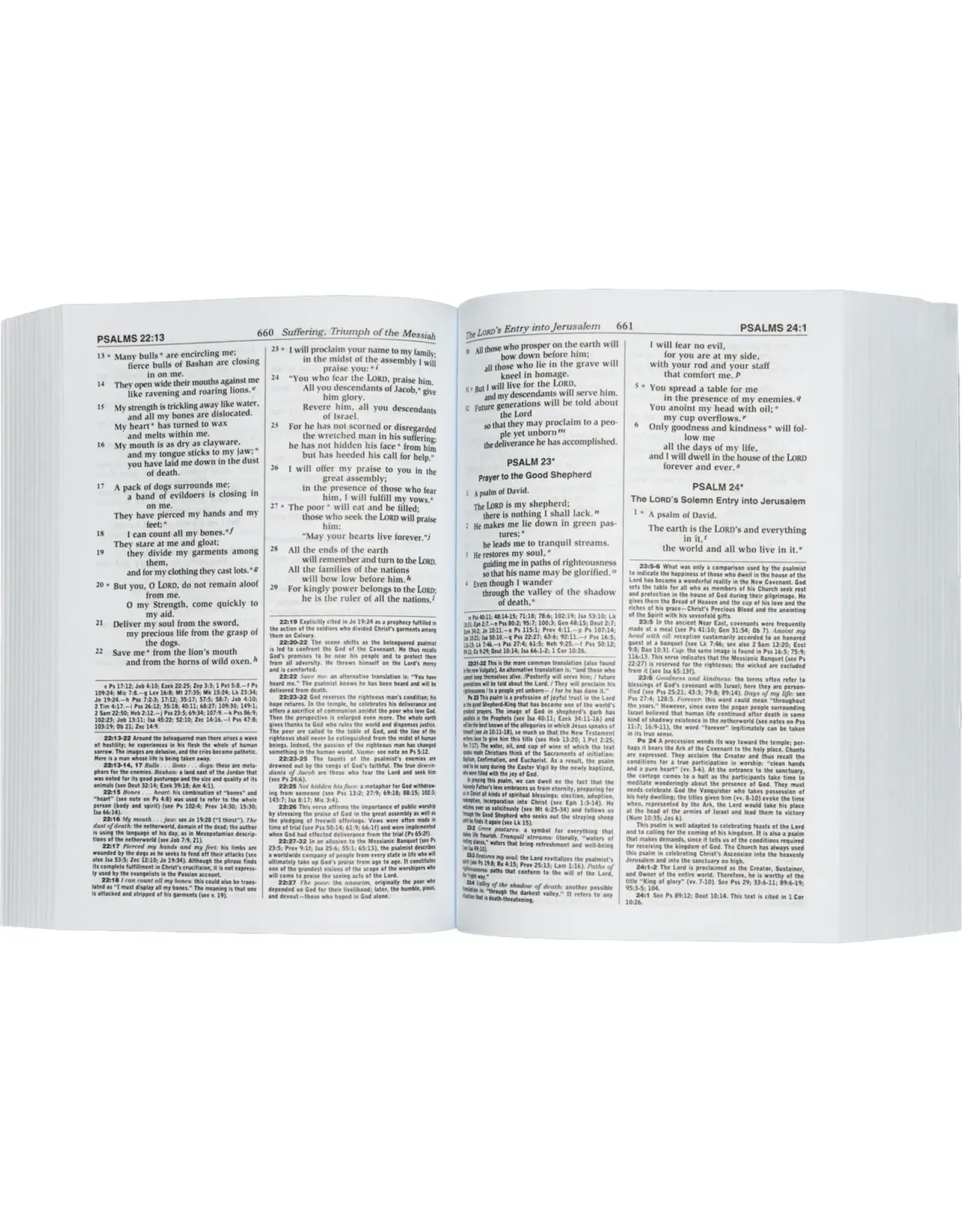 Catholic Book Publishing NCB (New Catholic Bible), Compact Size Study Edition