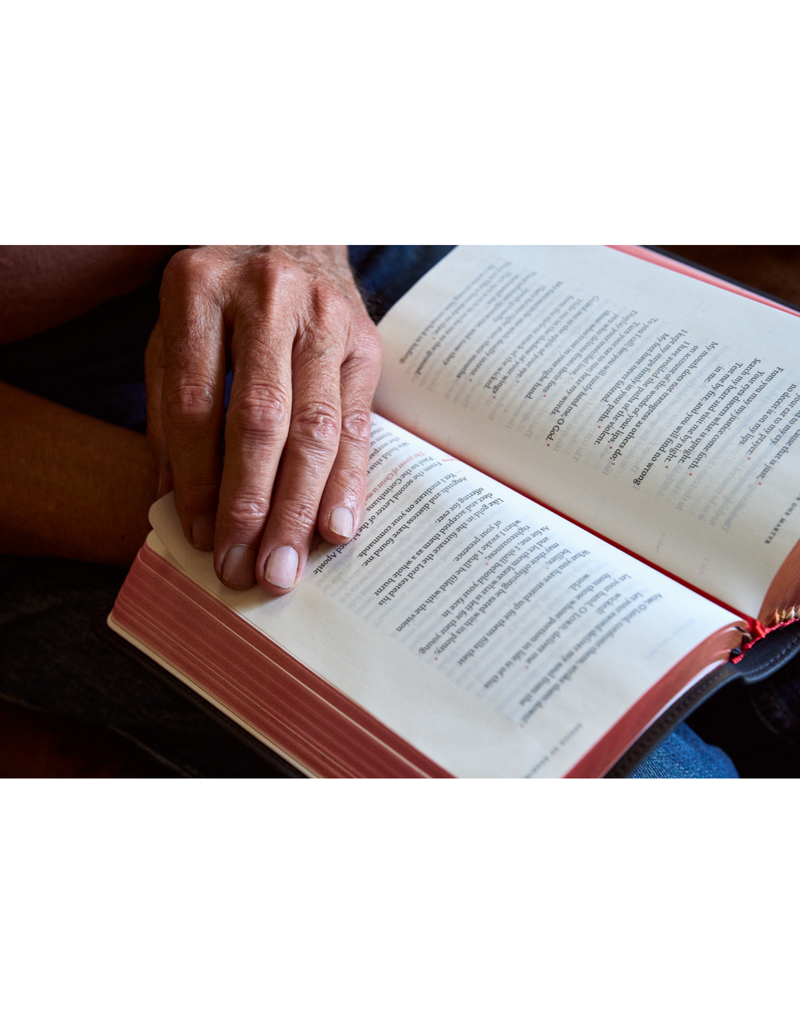 Word on Fire The Liturgy of the Hours, Second Edition - Volume I (WOF)