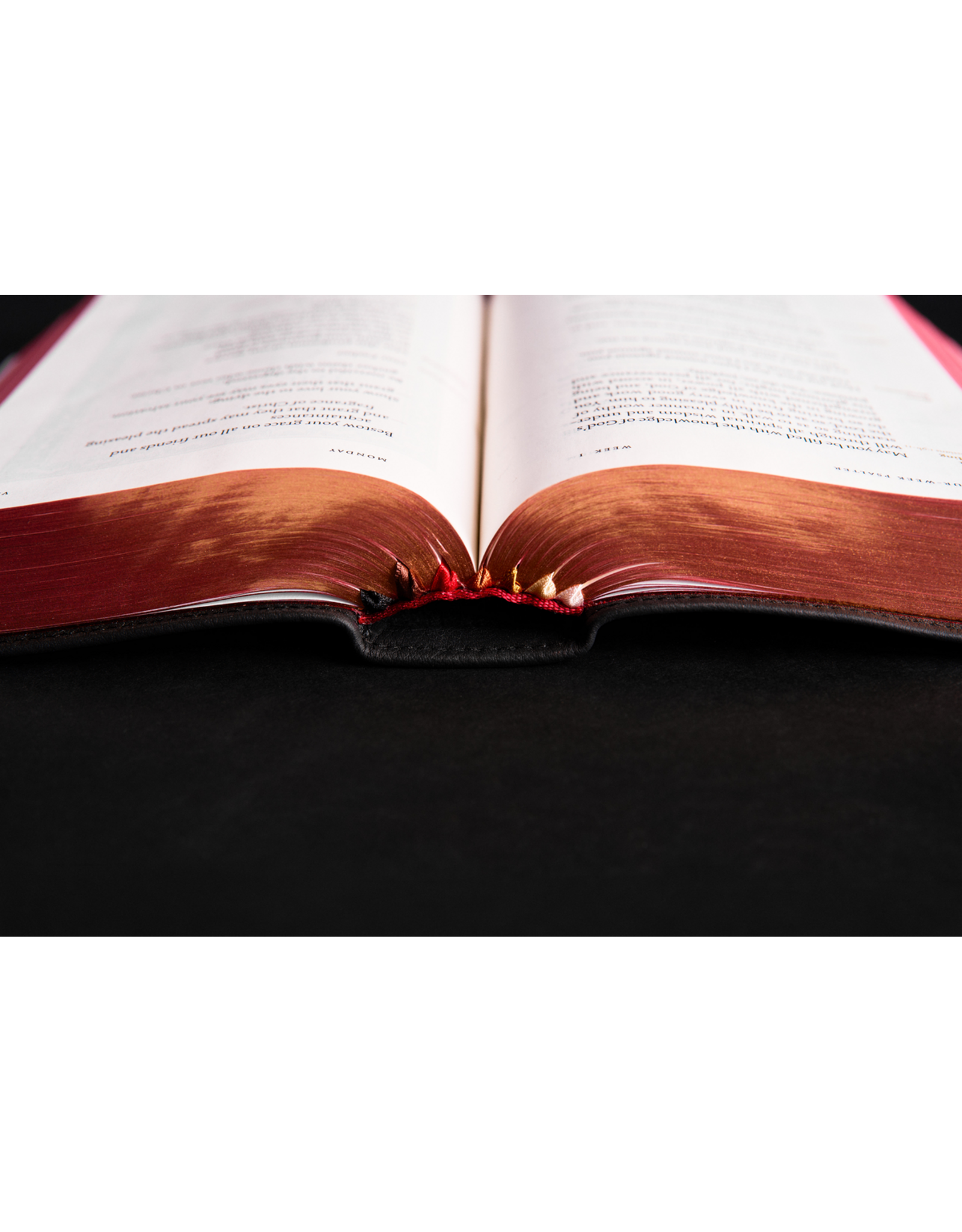 Word on Fire The Liturgy of the Hours, Second Edition - Volume I (WOF)