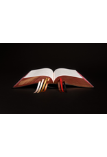 Word on Fire The Liturgy of the Hours, Second Edition - Volume IV (WOF)