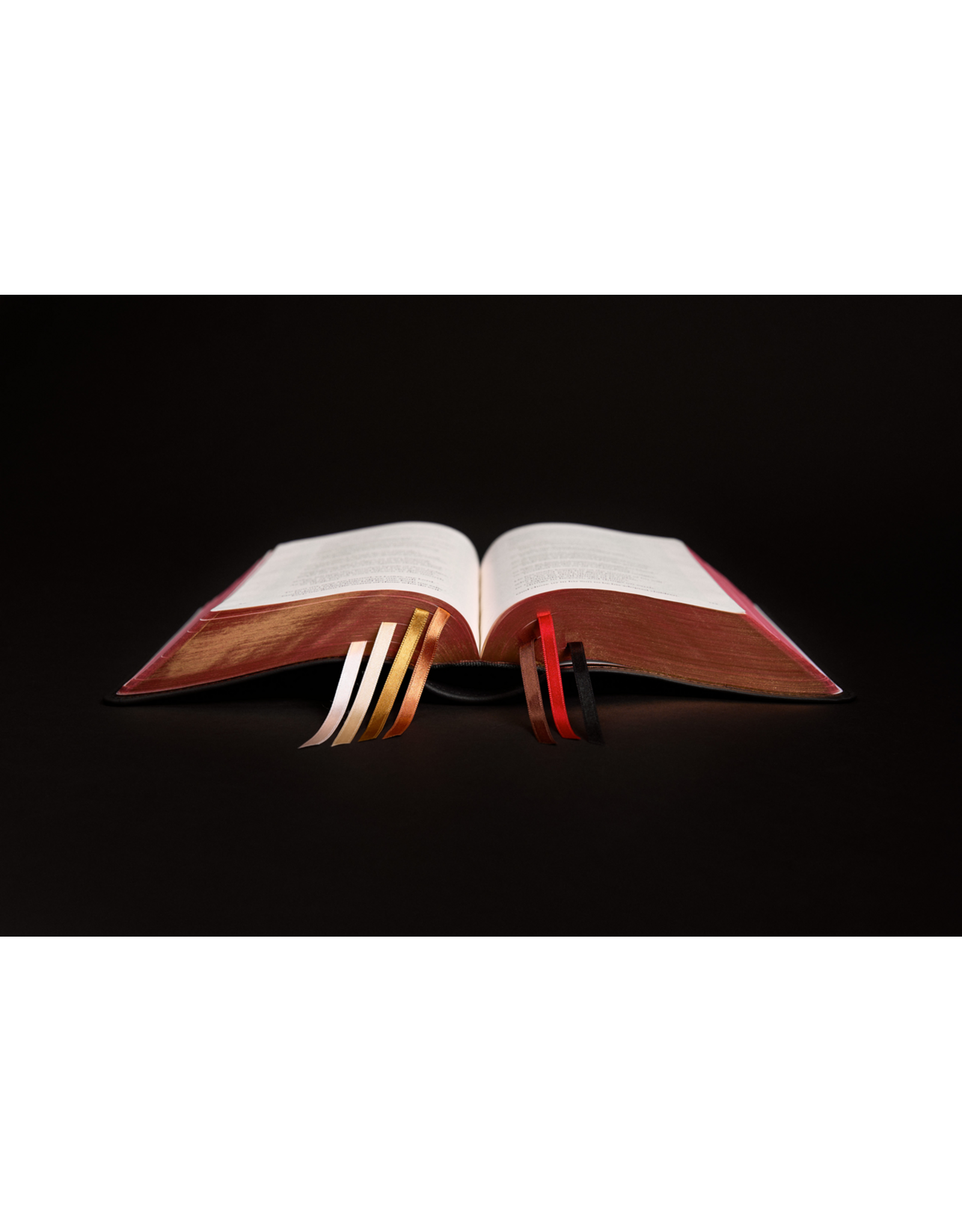 Word on Fire The Liturgy of the Hours, Second Edition - Volume IV (WOF)