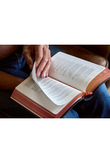 Word on Fire The Liturgy of the Hours, Second Edition - Volume IV (WOF)